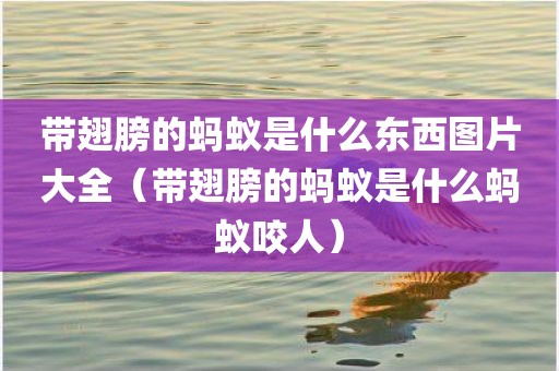 带翅膀的蚂蚁是什么东西图片大全（带翅膀的蚂蚁是什么蚂蚁咬人）