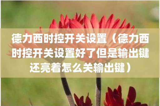 德力西时控开关设置（德力西时控开关设置好了但是输出键还亮着怎么关输出键）