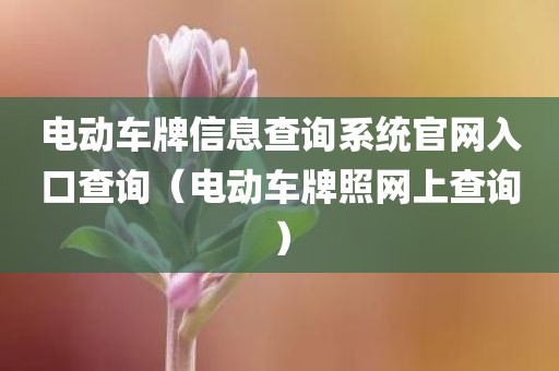 电动车牌信息查询系统官网入口查询(电动车牌照网上查询) 电动车牌信息查询系统官网入口查询(电动车牌照网上查询)