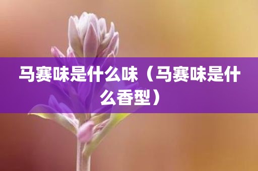 马赛味是什么味（马赛味是什么香型）