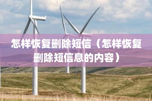 怎样恢复删除短信（怎样恢复删除短信息的内容）