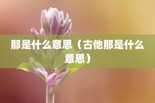 那是什么意思（古他那是什么意思）