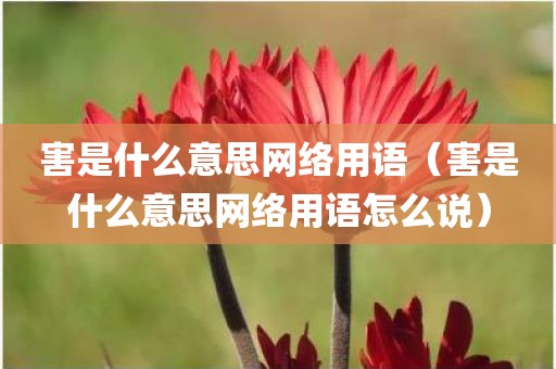 害是什么意思网络用语（害是什么意思网络用语怎么说）