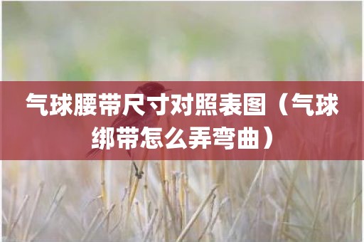 气球腰带尺寸对照表图（气球绑带怎么弄弯曲）