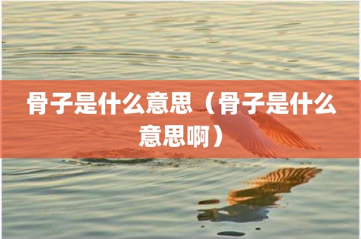 骨子是什么意思（骨子是什么意思啊）