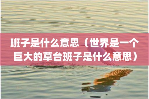 班子是什么意思（世界是一个巨大的草台班子是什么意思）