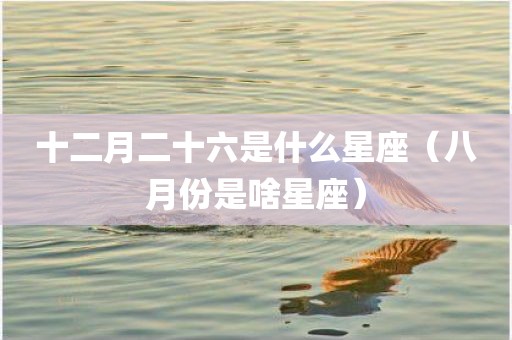 十二月二十六是什么星座（八月份是啥星座）