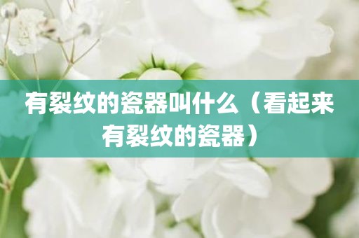 有裂纹的瓷器叫什么（看起来有裂纹的瓷器）
