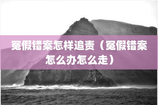 冤假错案怎样追责（冤假错案怎么办怎么走）