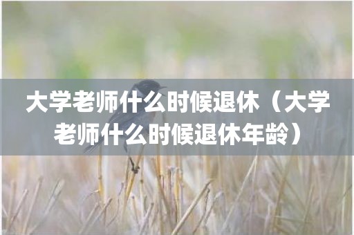 大学老师什么时候退休（大学老师什么时候退休年龄）