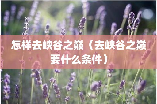 怎样去峡谷之巅（去峡谷之巅要什么条件）