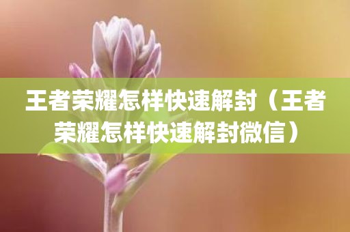 王者荣耀怎样快速解封（王者荣耀怎样快速解封微信）