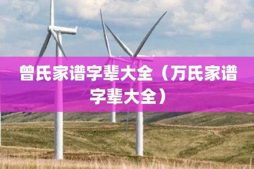 曾氏家谱字辈大全（万氏家谱字辈大全）