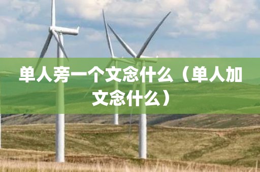 单人旁一个文念什么（单人加文念什么）