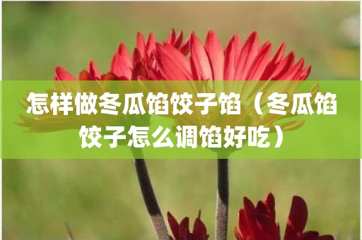 怎样做冬瓜馅饺子馅（冬瓜馅饺子怎么调馅好吃）