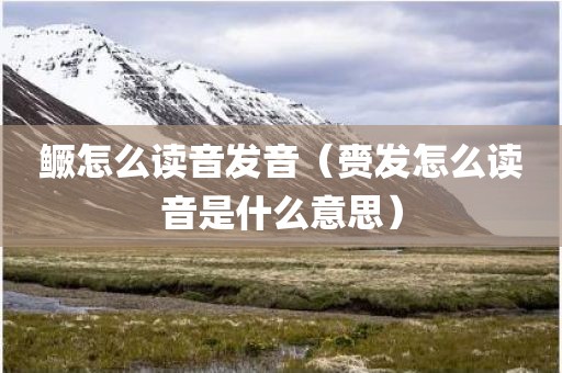 鳜怎么读音发音（赍发怎么读音是什么意思）