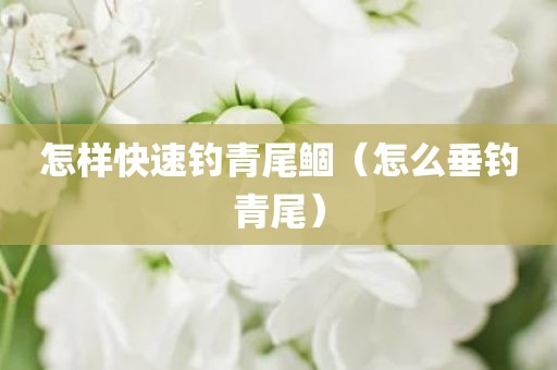 怎样快速钓青尾鲴（怎么垂钓青尾）
