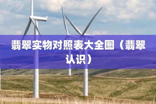 翡翠实物对照表大全图（翡翠认识）