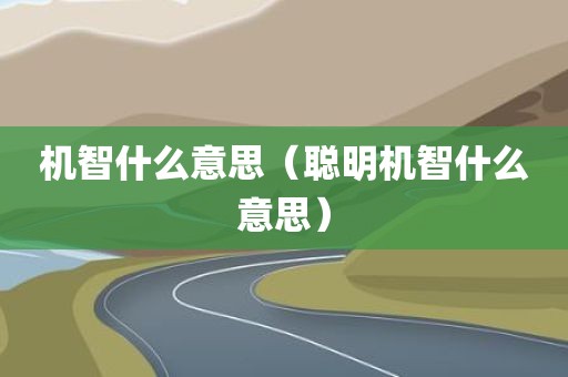 机智什么意思（聪明机智什么意思）
