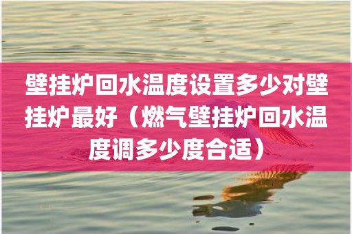 壁挂炉回水温度设置多少对壁挂炉最好（燃气壁挂炉回水温度调多少度合适）