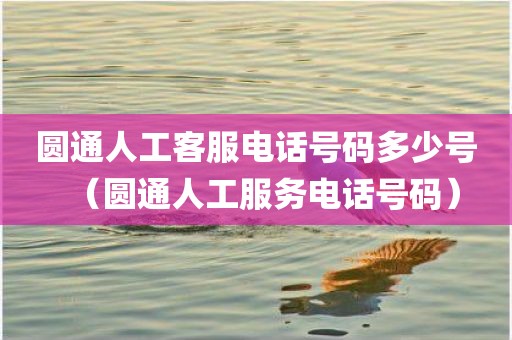 圆通人工客服电话号码多少号(圆通人工服务电话号码)
