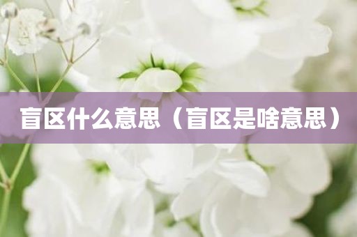 盲区什么意思(盲区是啥意思)