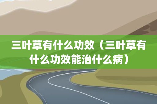 三叶草有什么功效（三叶草有什么功效能治什么病）