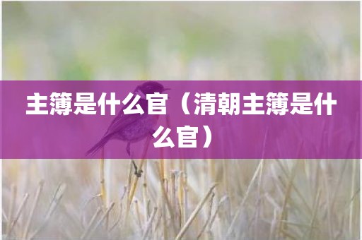 主簿是什么官（清朝主簿是什么官）