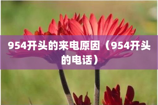954开头的来电原因(954开头的电话) 954开头的来电原因(954开头的电话)
