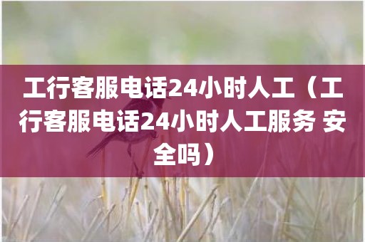 工行客服电话24小时人工（工行客服电话24小时人工服务 安全吗）
