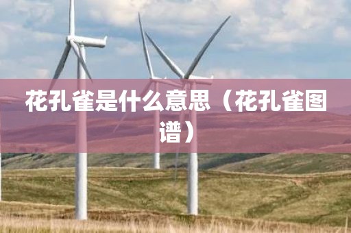 花孔雀是什么意思（花孔雀图谱）