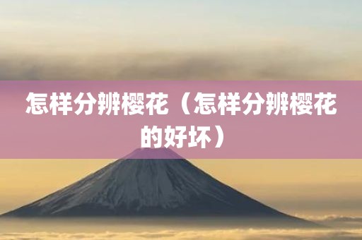 怎样分辨樱花（怎样分辨樱花的好坏）