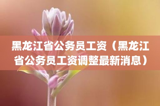 黑龙江省公务员工资（黑龙江省公务员工资调整最新消息）