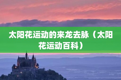 太阳花运动的来龙去脉(太阳花运动百科)