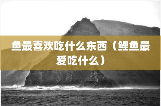 鱼最喜欢吃什么东西(鲤鱼最爱吃什么)