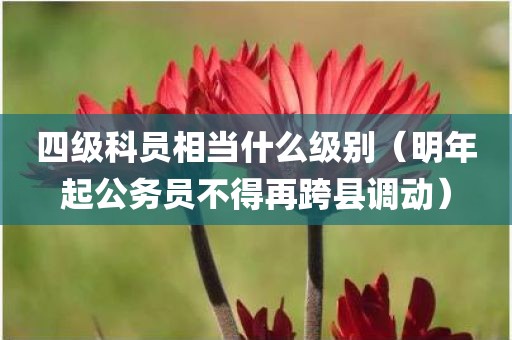 四级科员相当什么级别（明年起公务员不得再跨县调动）