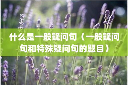 什么是一般疑问句（一般疑问句和特殊疑问句的题目）