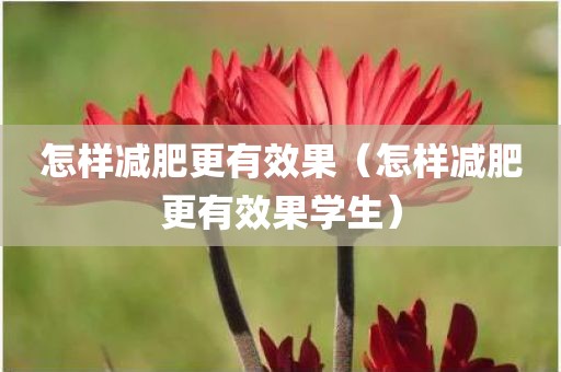 怎样减肥更有效果（怎样减肥更有效果学生）