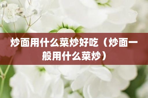 炒面用什么菜炒好吃（炒面一般用什么菜炒）