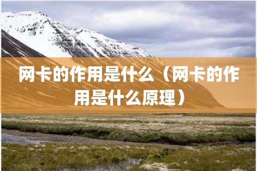 网卡的作用是什么（网卡的作用是什么原理）