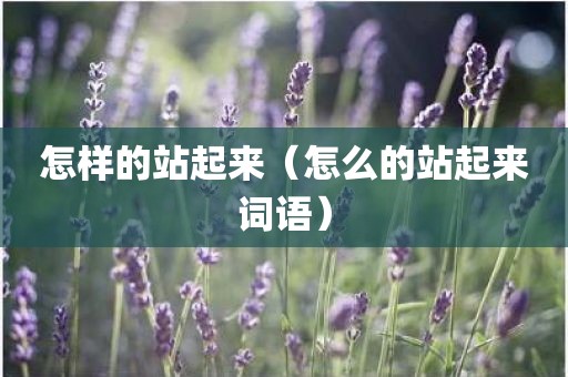 怎样的站起来（怎么的站起来词语）