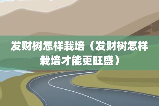 发财树怎样栽培（发财树怎样栽培才能更旺盛）