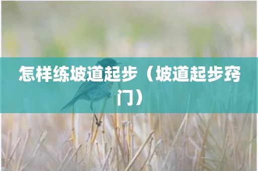 怎样练坡道起步（坡道起步窍门）