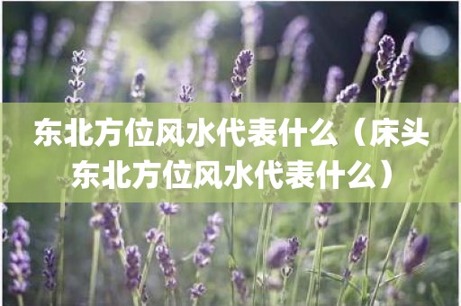 东北方位风水代表什么（床头东北方位风水代表什么）
