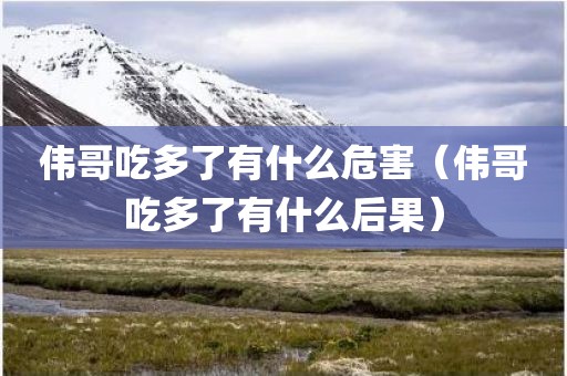 伟哥吃多了有什么危害（伟哥吃多了有什么后果）