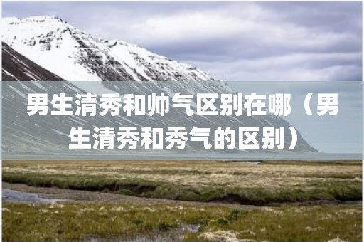 男生清秀和帅气区别在哪（男生清秀和秀气的区别）