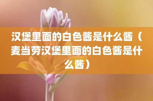 汉堡里面的白色酱是什么酱（麦当劳汉堡里面的白色酱是什么酱）