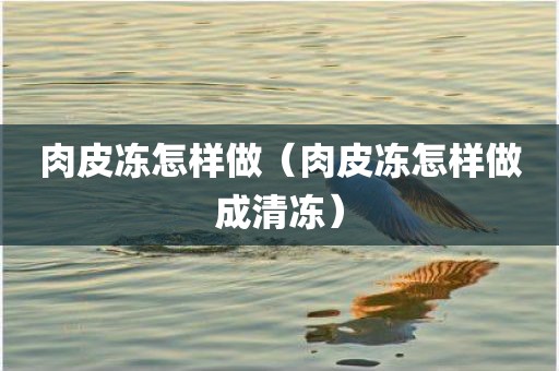 肉皮冻怎样做（肉皮冻怎样做成清冻）