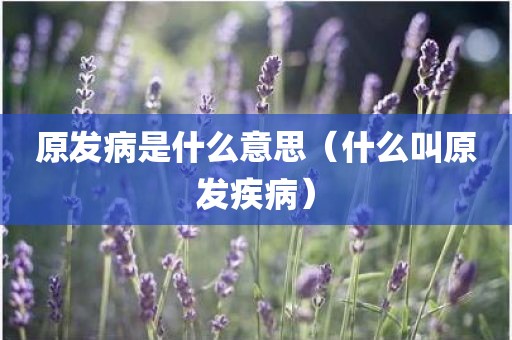原发病是什么意思（什么叫原发疾病）