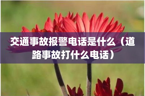 交通事故报警电话是什么（道路事故打什么电话）